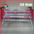 Cage de batterie de poulet A-120 pour pondeuses Poules pondeuses